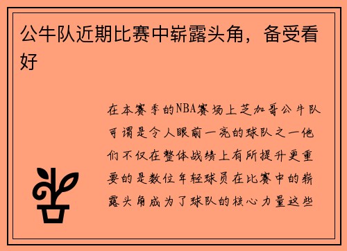 公牛队近期比赛中崭露头角，备受看好